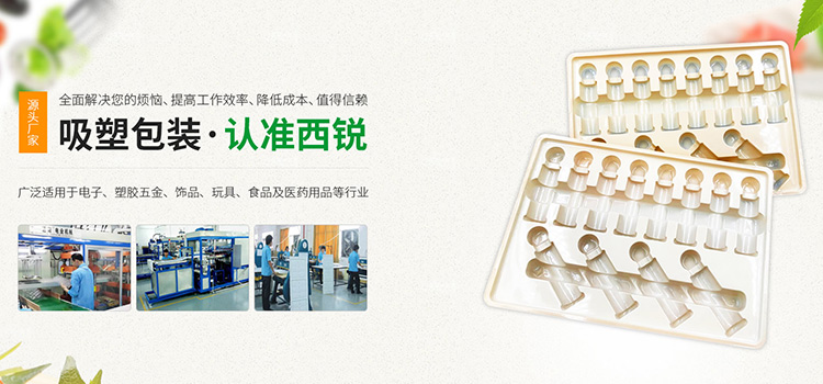 东莞市西锐塑料有限公司